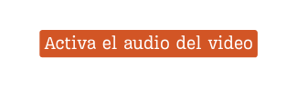 Activa el audio del video